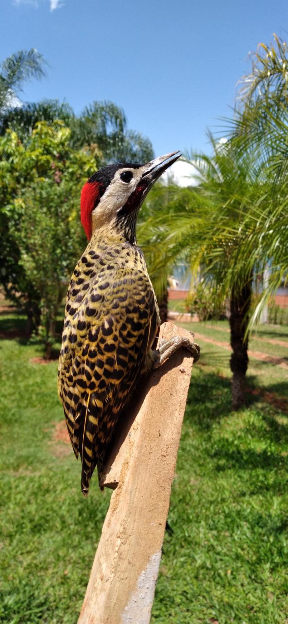 Pousada Estancia Mineira Guape Bagian luar foto